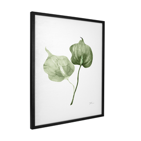 Quadro Decorativo Antúrio Verde | Thaís Mota