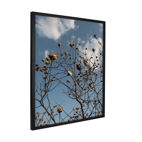 Quadro Decorativo Galhos Secos | Fagner Martins