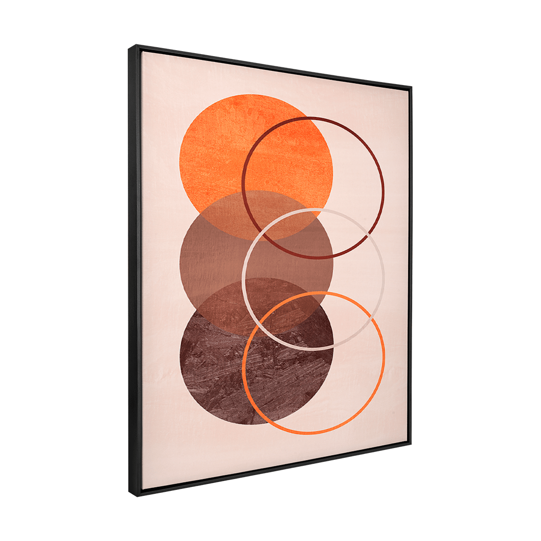 Quadro Decorativo Geométrico 4 | Ana Paula Rius