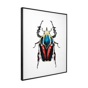 Quadro Decorativo Besouro 2 | Rodrigo Paladino