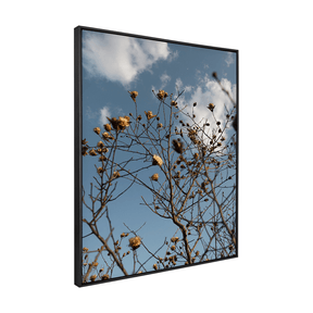 Quadro Decorativo Galhos Secos | Fagner Martins