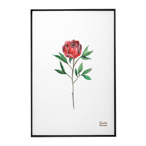 Quadro Decorativo Rosa Vermelha | Camila Pasinato