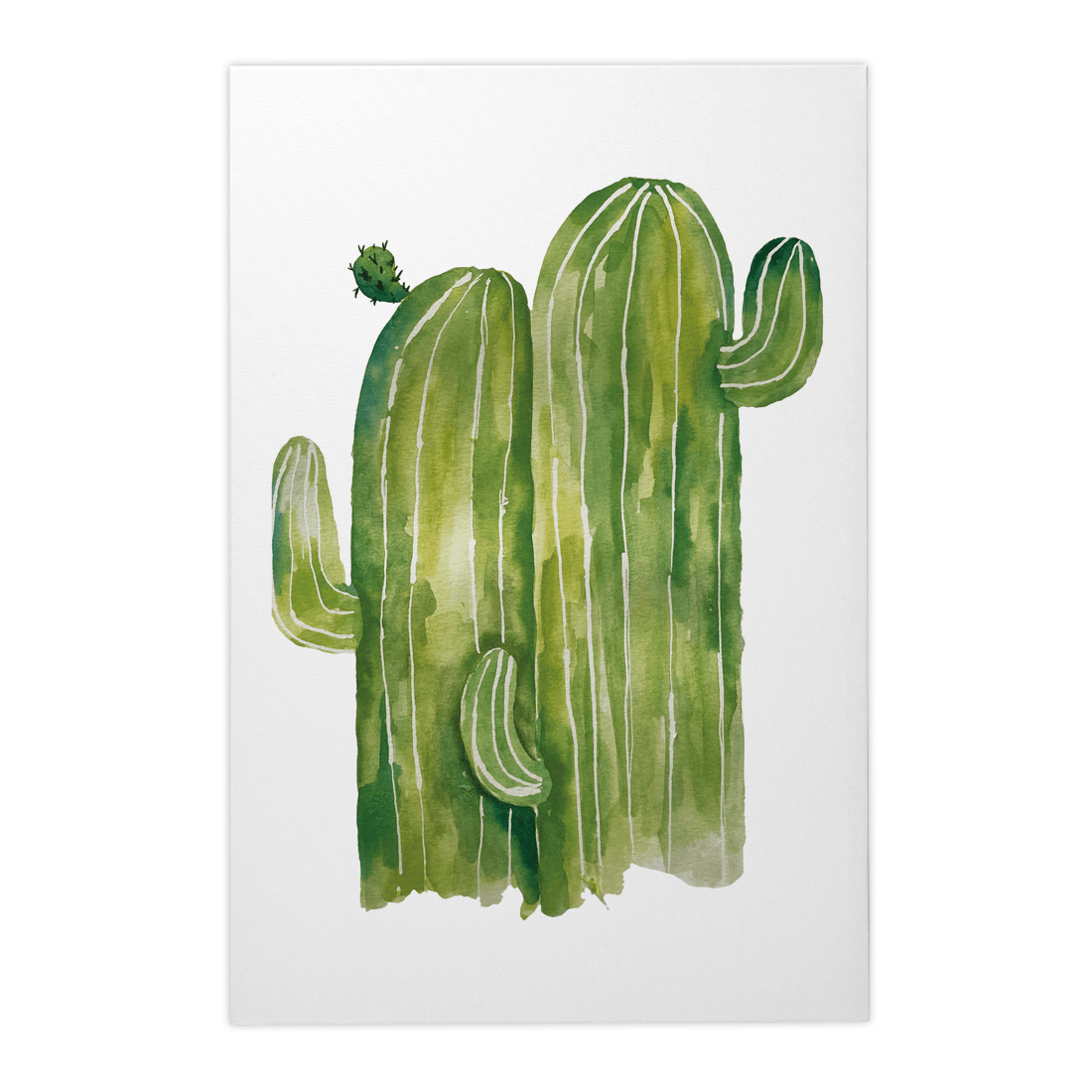 Quadro Decorativo Cactos Verde | Camila Lemos