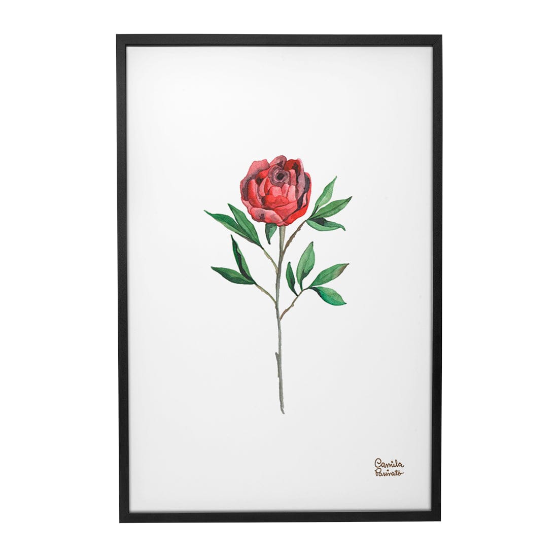 Quadro Decorativo Rosa Vermelha | Camila Pasinato