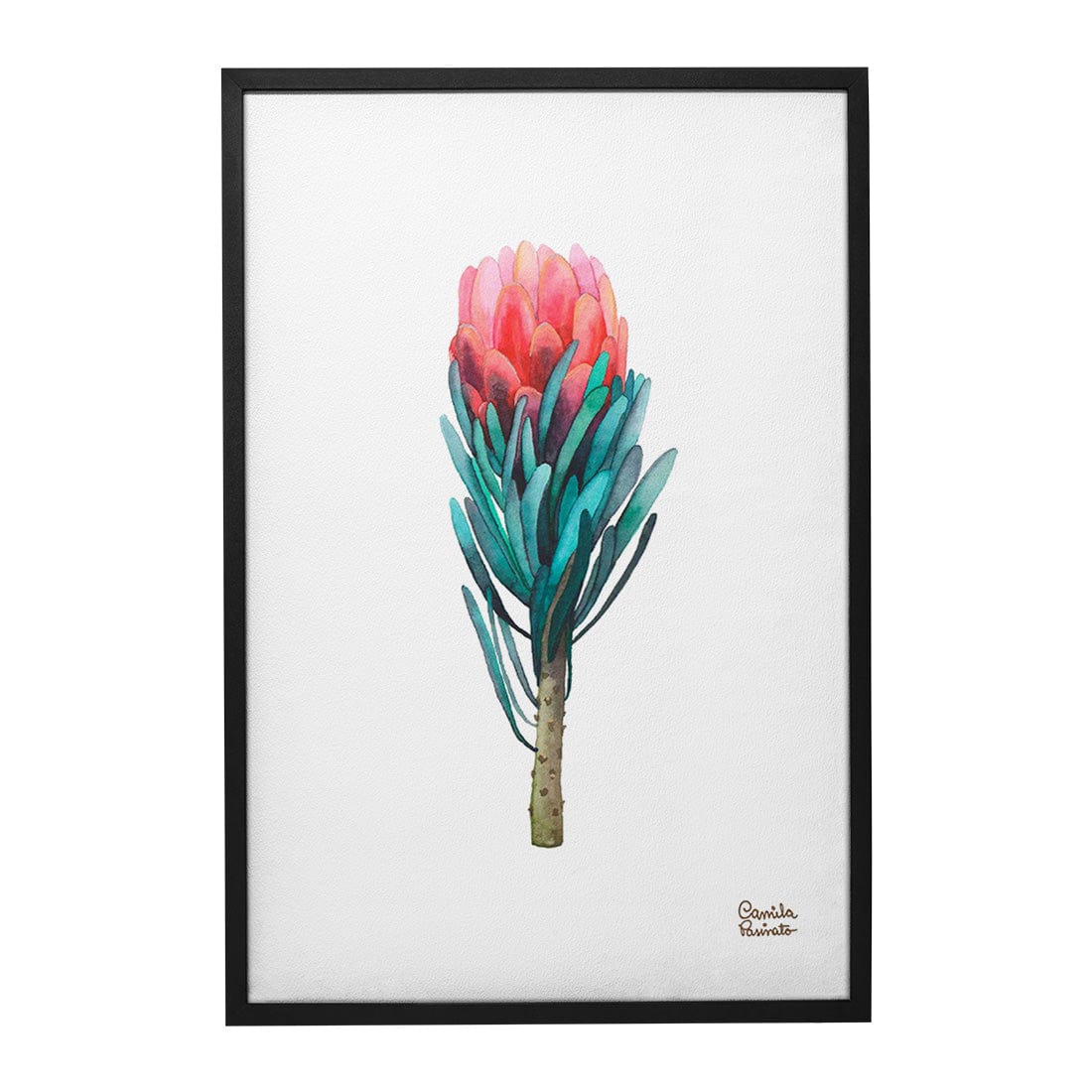 Quadro Decorativo Protea | Camila Pasinato