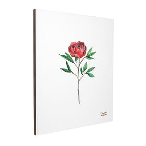 Quadro Decorativo Rosa Vermelha | Camila Pasinato