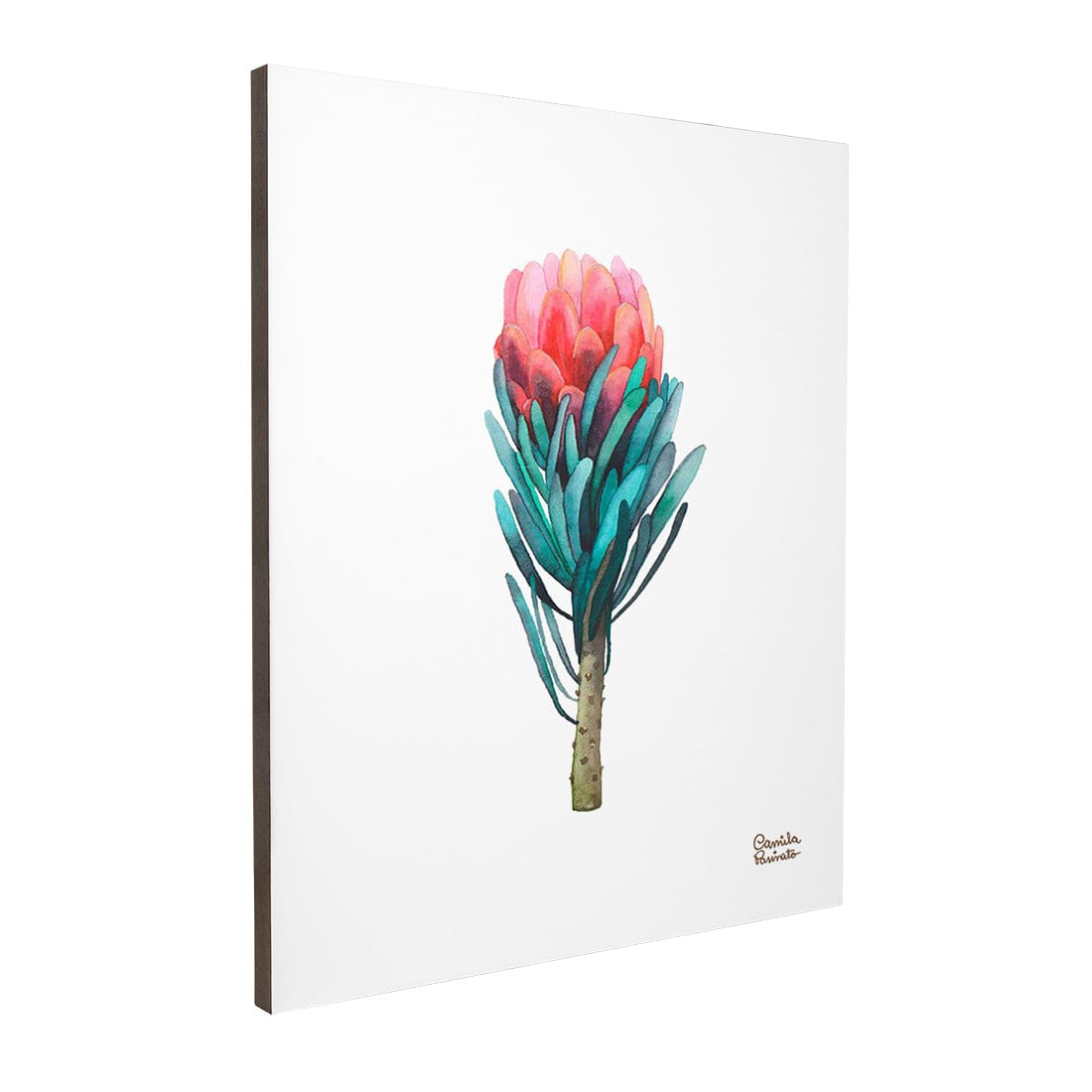 Quadro Decorativo Protea | Camila Pasinato