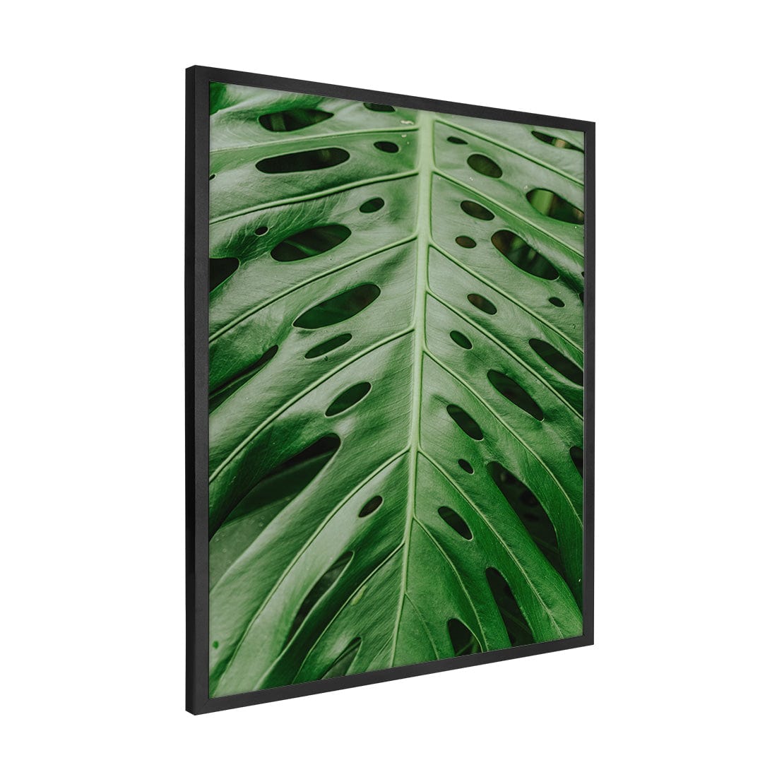 Quadro Decorativo Folhas 6 | Albori Ribeiro