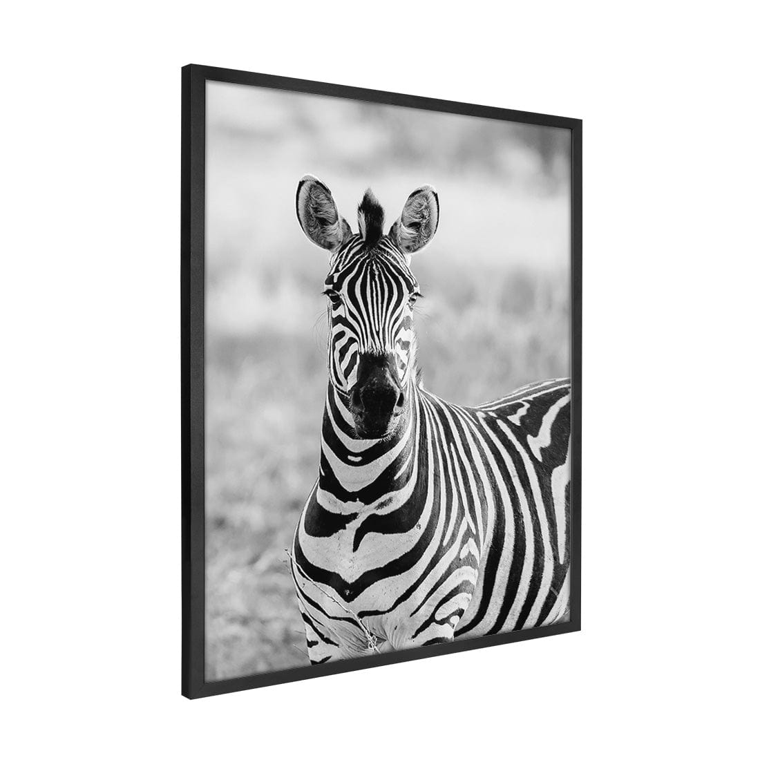 Quadro Decorativo Zebra 1 | Sâmia Munaretti & Marcelo Baldin