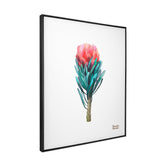 Quadro Decorativo Protea | Camila Pasinato