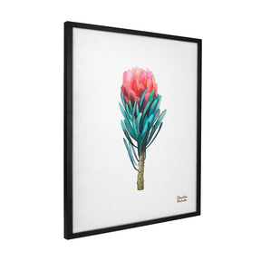 Quadro Decorativo Protea | Camila Pasinato