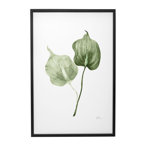 Quadro Decorativo Antúrio Verde | Thaís Mota