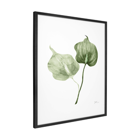 Quadro Decorativo Antúrio Verde | Thaís Mota