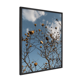 Quadro Decorativo Galhos Secos | Fagner Martins