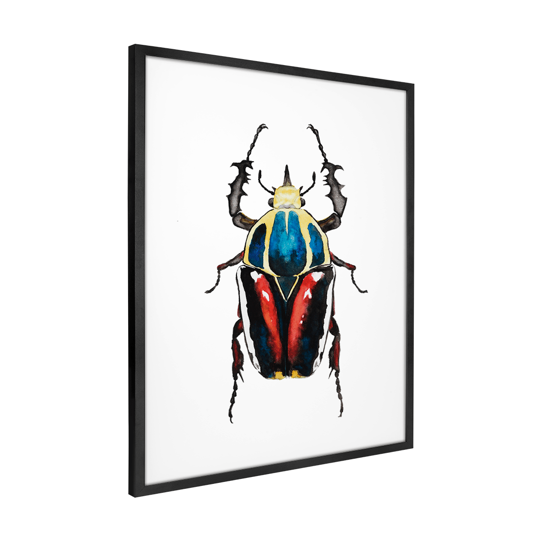 Quadro Decorativo Besouro 2 | Rodrigo Paladino