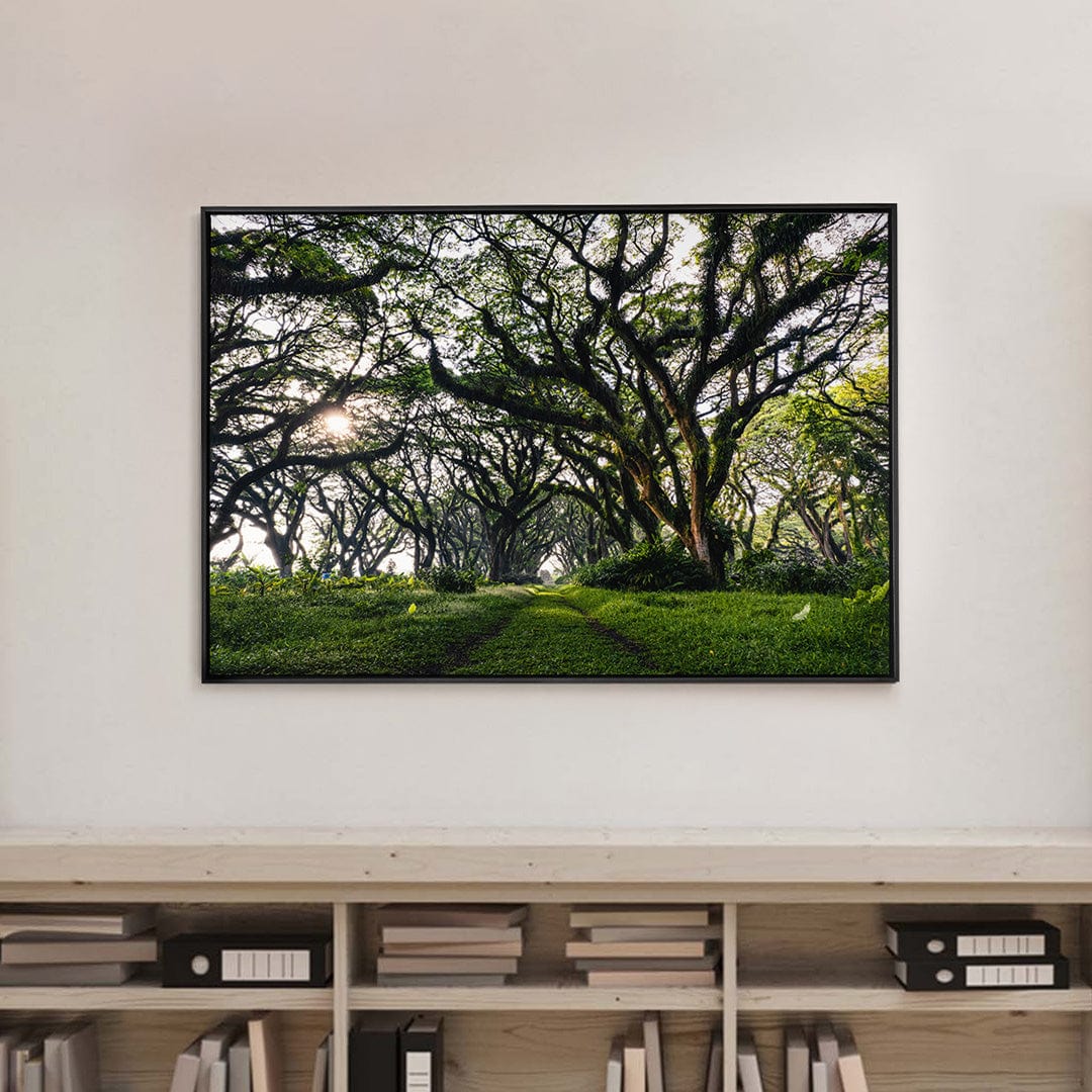 Quadro Decorativo Caminhos da Floresta | Mundo sem Muros - Meu Rodapé