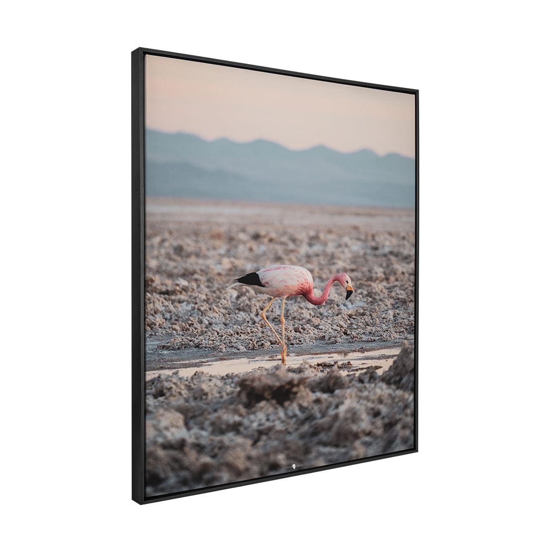 Quadro Decorativo Flamingo | Patricia Schussel Gomes - Meu Rodapé