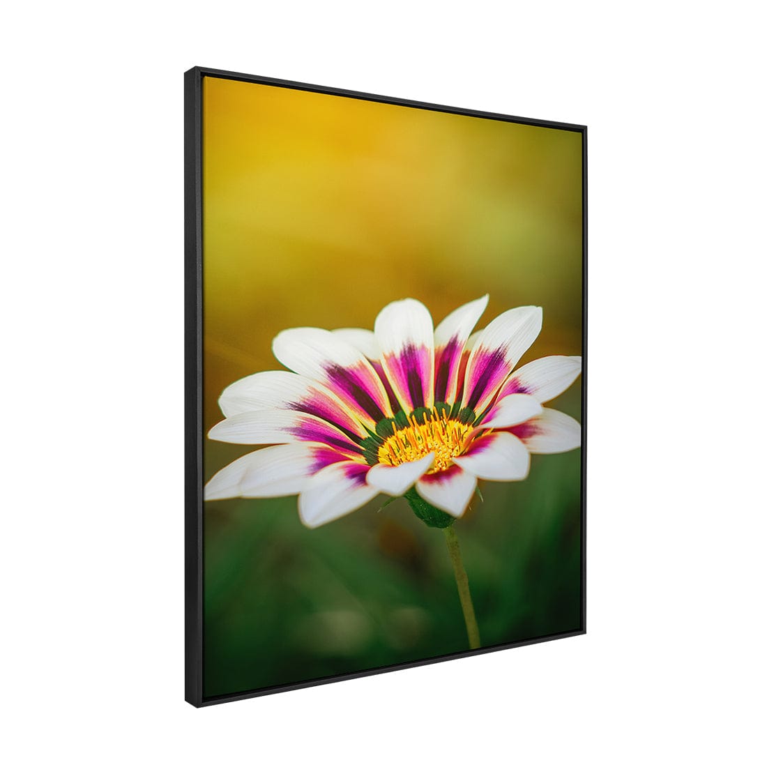 Quadro Decorativo Flor 1 | Albori Ribeiro - Meu Rodapé