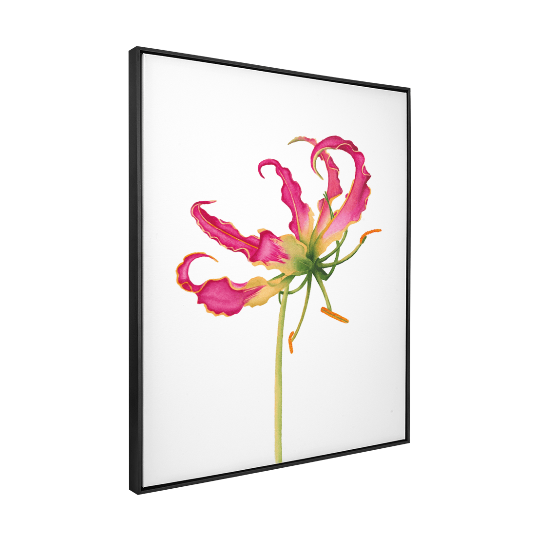 Quadro Decorativo Flor Gloriosa | Aline Gomes - Meu Rodapé