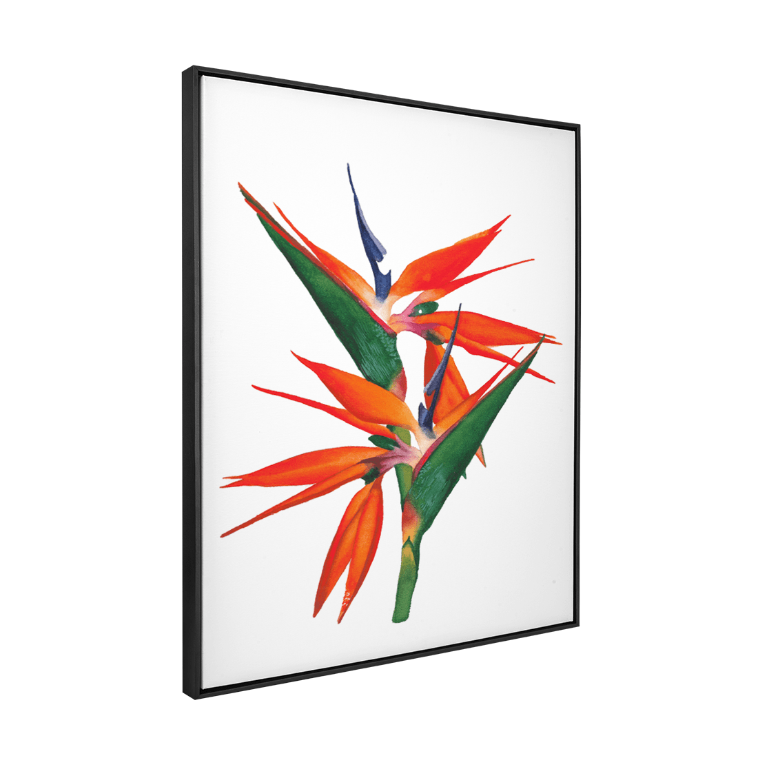 Quadro Decorativo Flor Strelitzia | Aline Gomes - Meu Rodapé