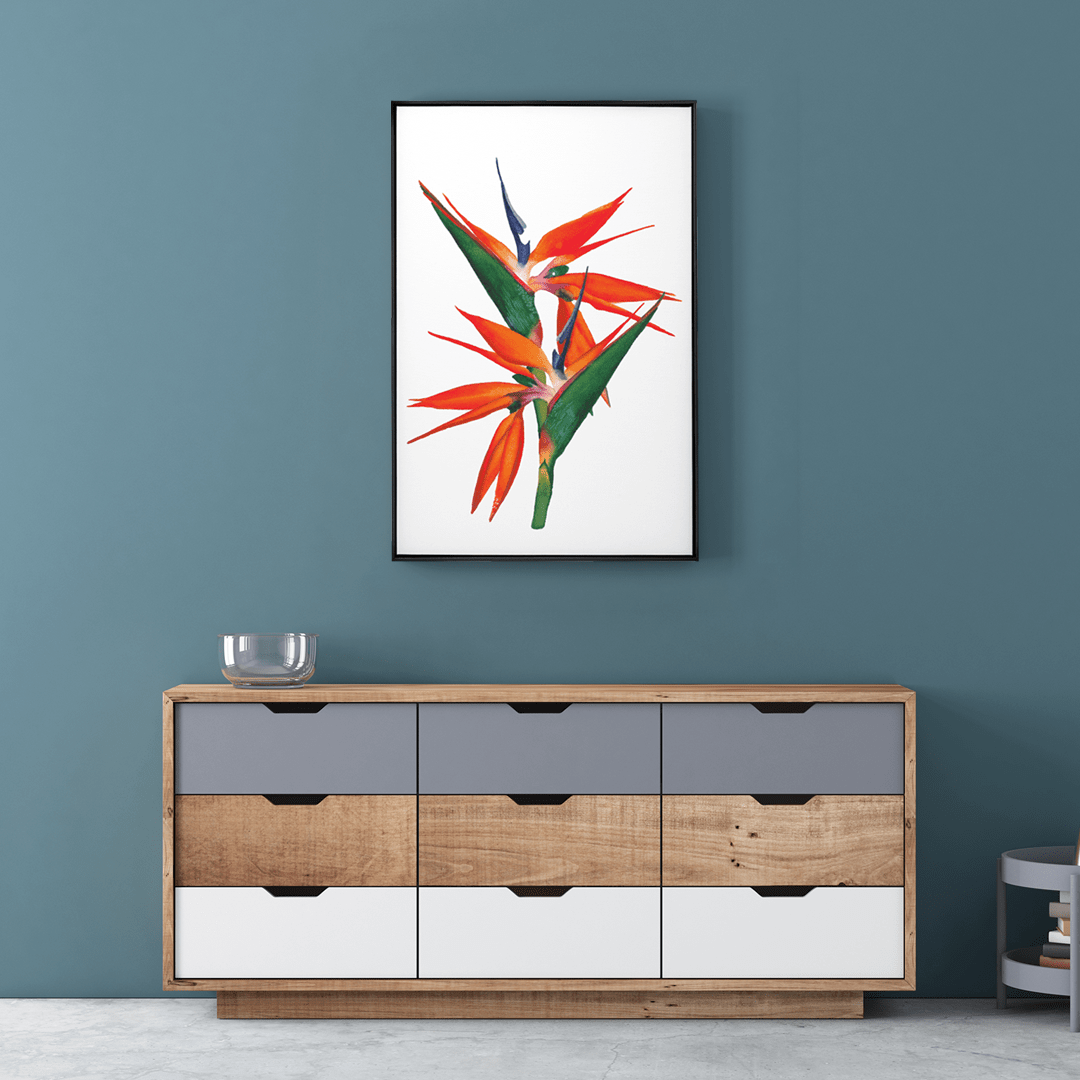 Quadro Decorativo Flor Strelitzia | Aline Gomes - Meu Rodapé