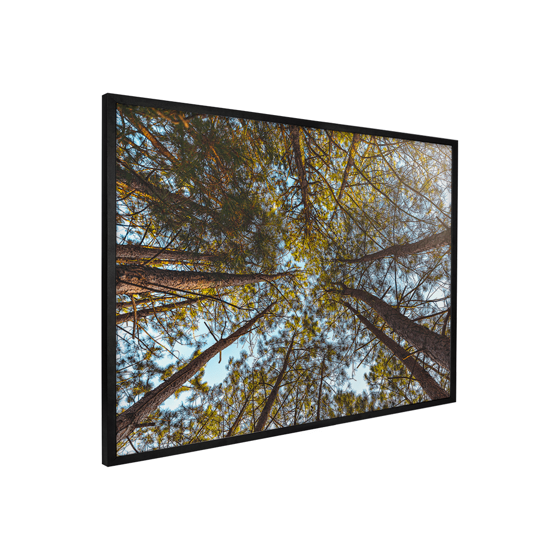 Quadro Decorativo Funil Verde | Glaucon Hartmam - Meu Rodapé