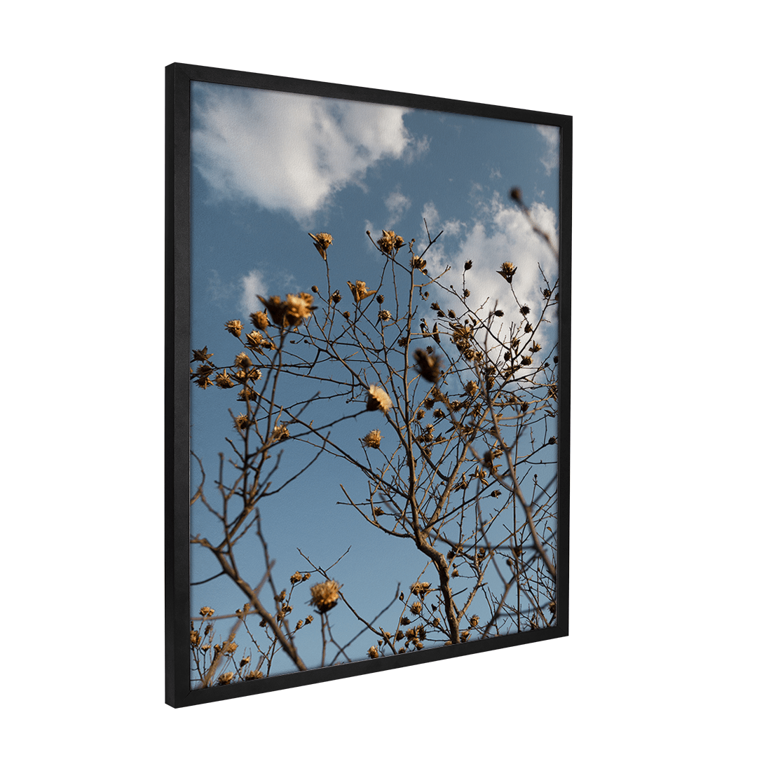 Quadro Decorativo Galhos Secos | Fagner Martins - Meu Rodapé