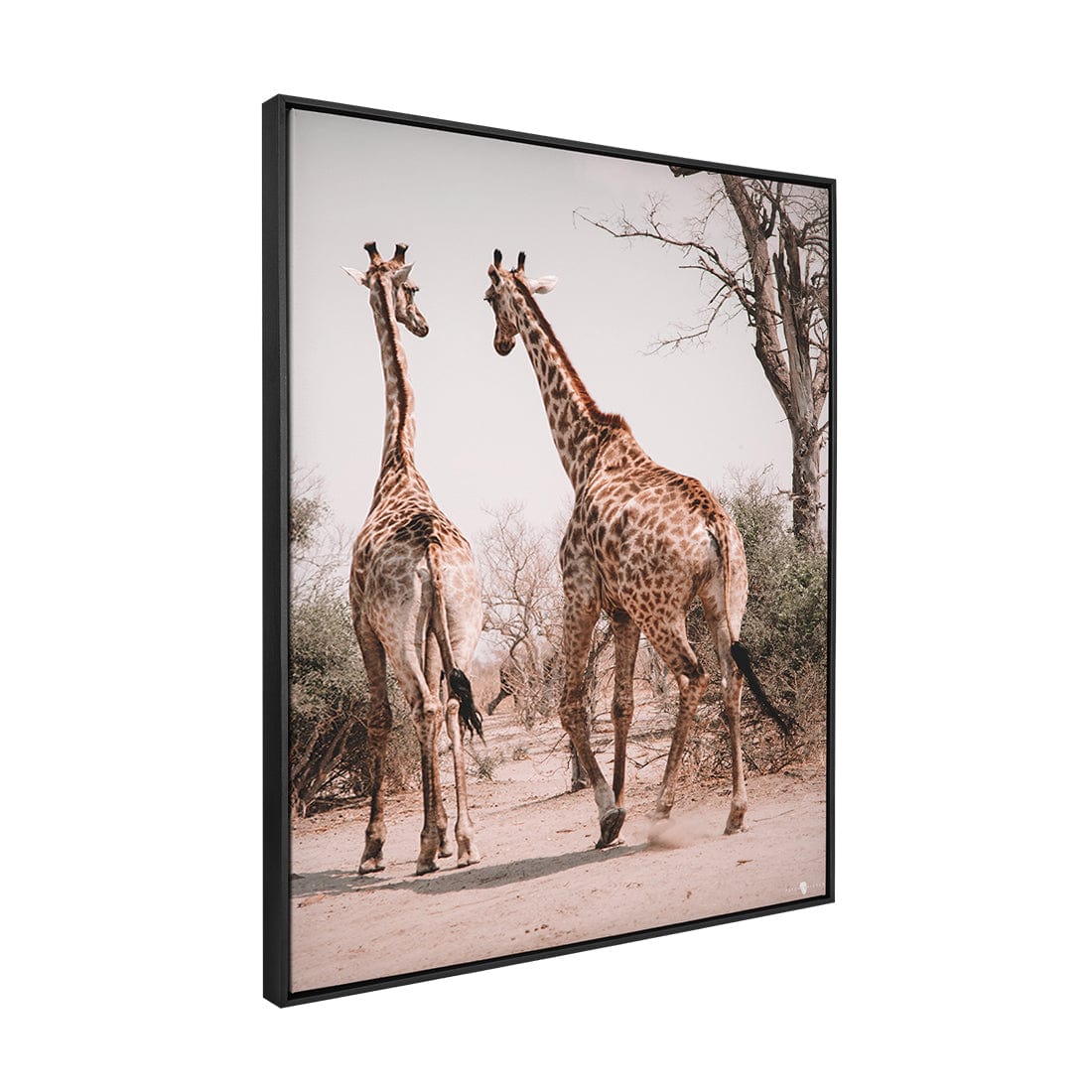 Quadro Decorativo Girafas África | Patricia Schussel Gomes - Meu Rodapé