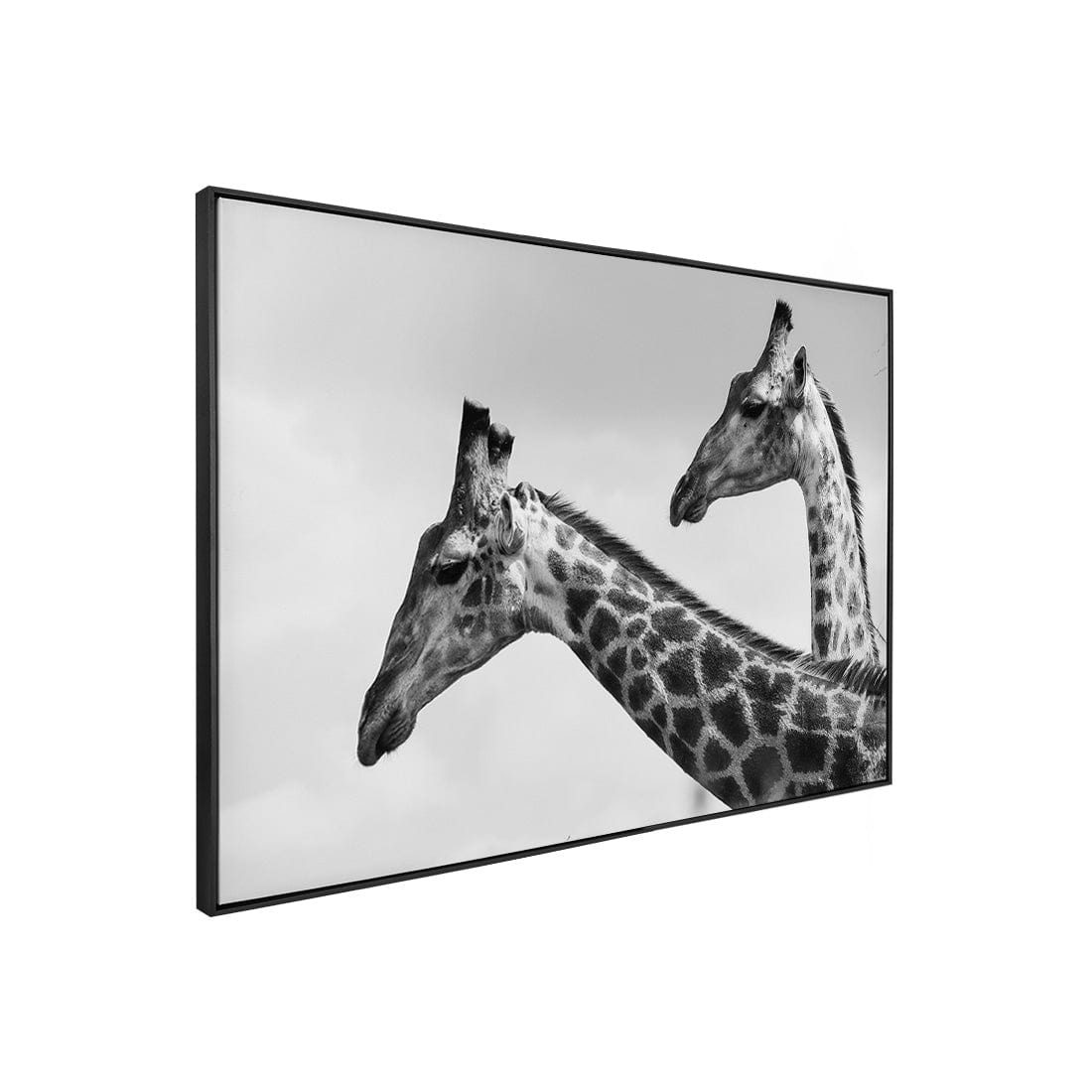 Quadro Decorativo Girafas | Sâmia Munaretti & Marcelo Baldin - Meu Rodapé