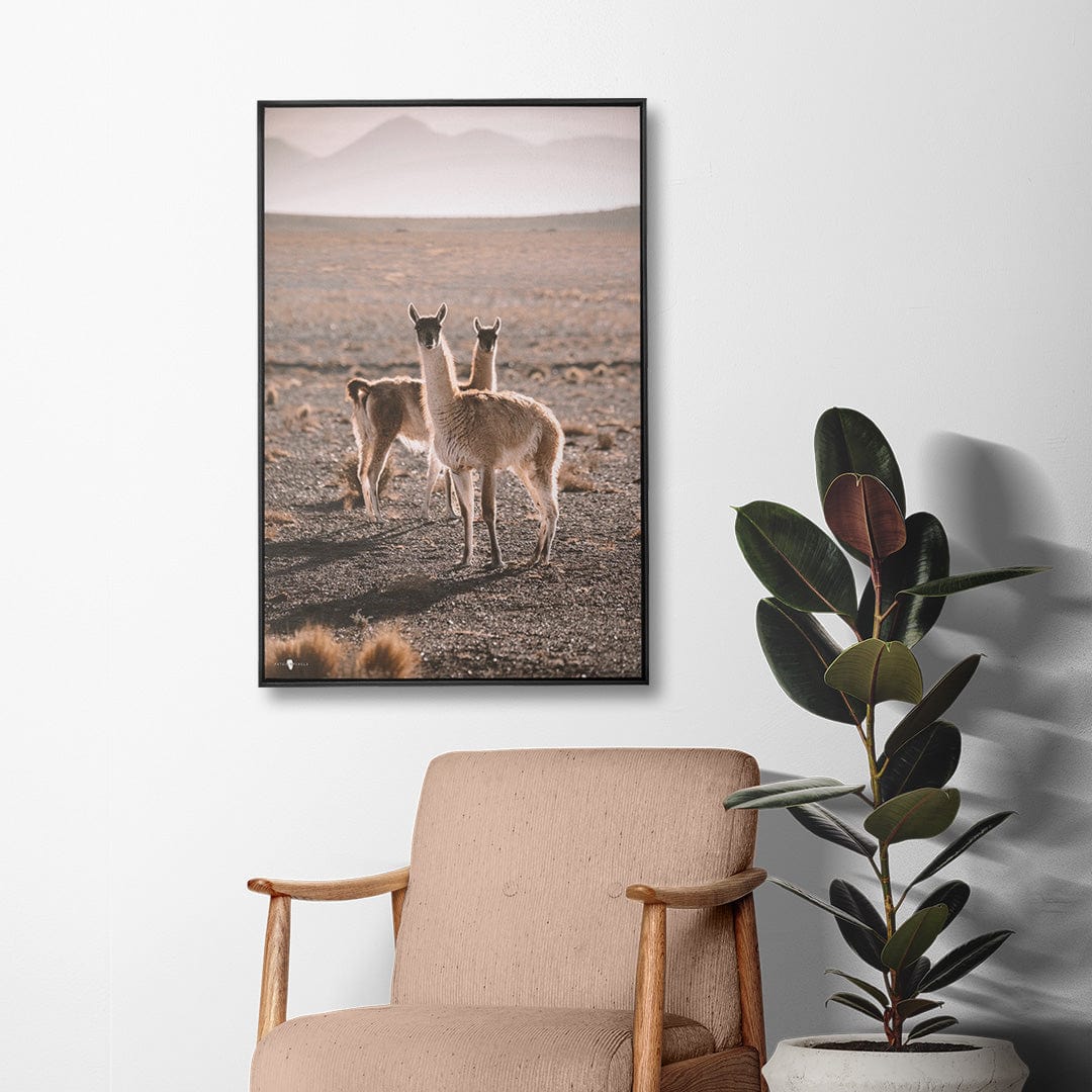 Quadro Decorativo Guanaco Atacama | Patricia Schussel Gomes - Meu Rodapé