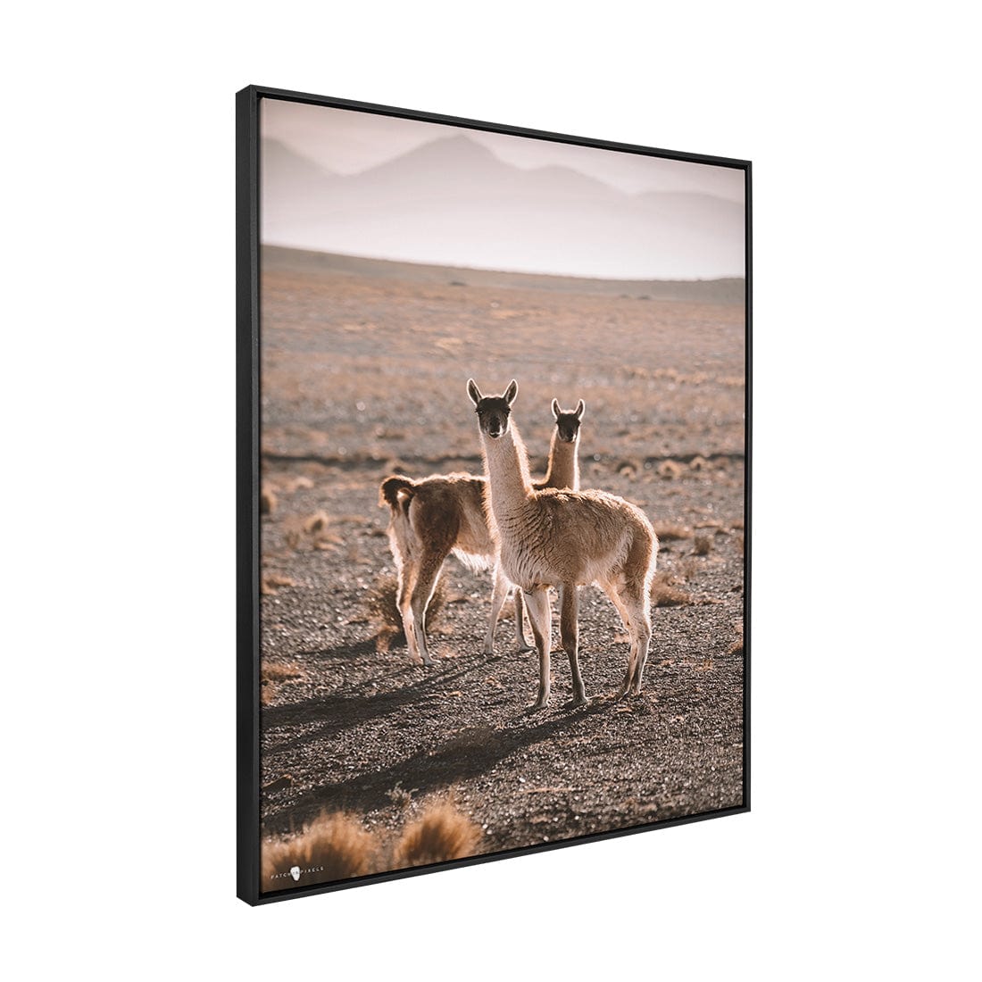 Quadro Decorativo Guanaco Atacama | Patricia Schussel Gomes - Meu Rodapé