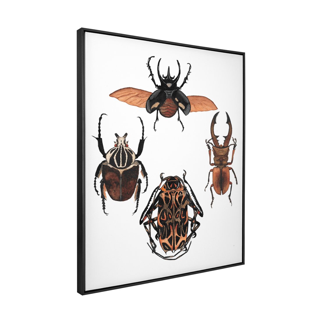 Quadro Decorativo Insetos | Aline Gomes - Meu Rodapé