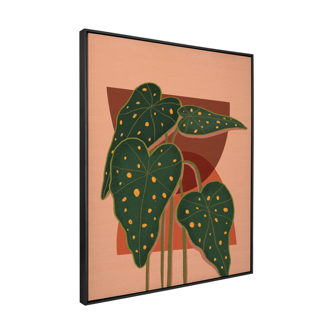 Quadro Decorativo Maculata | Rafael Machado - Meu Rodapé