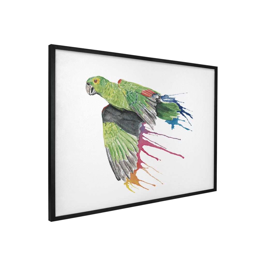 Quadro Decorativo Papagaio | Nana Haus - Meu Rodapé