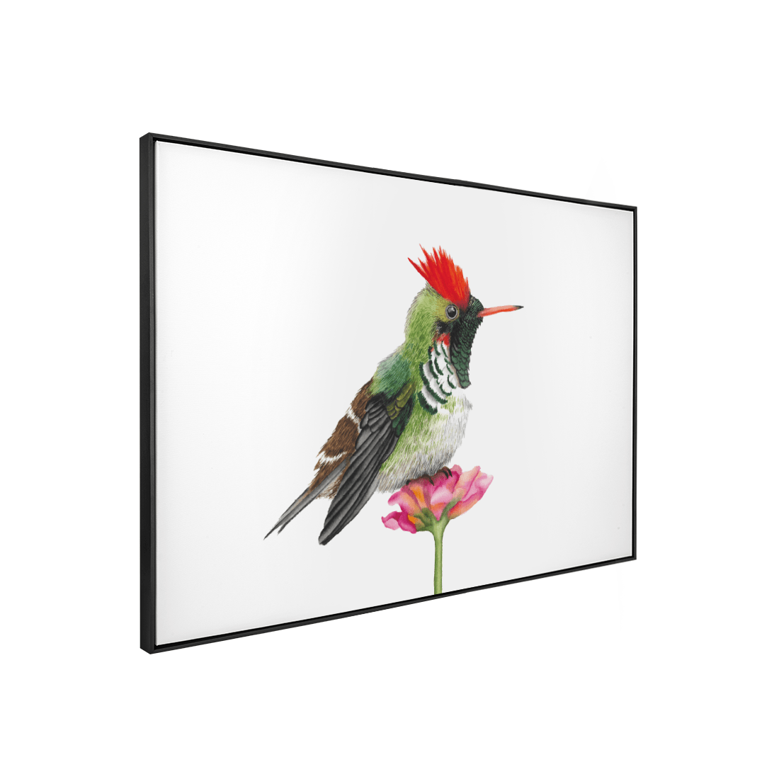 Quadro Decorativo Pássaro Beija - Flor | Aline Gomes - Meu Rodapé