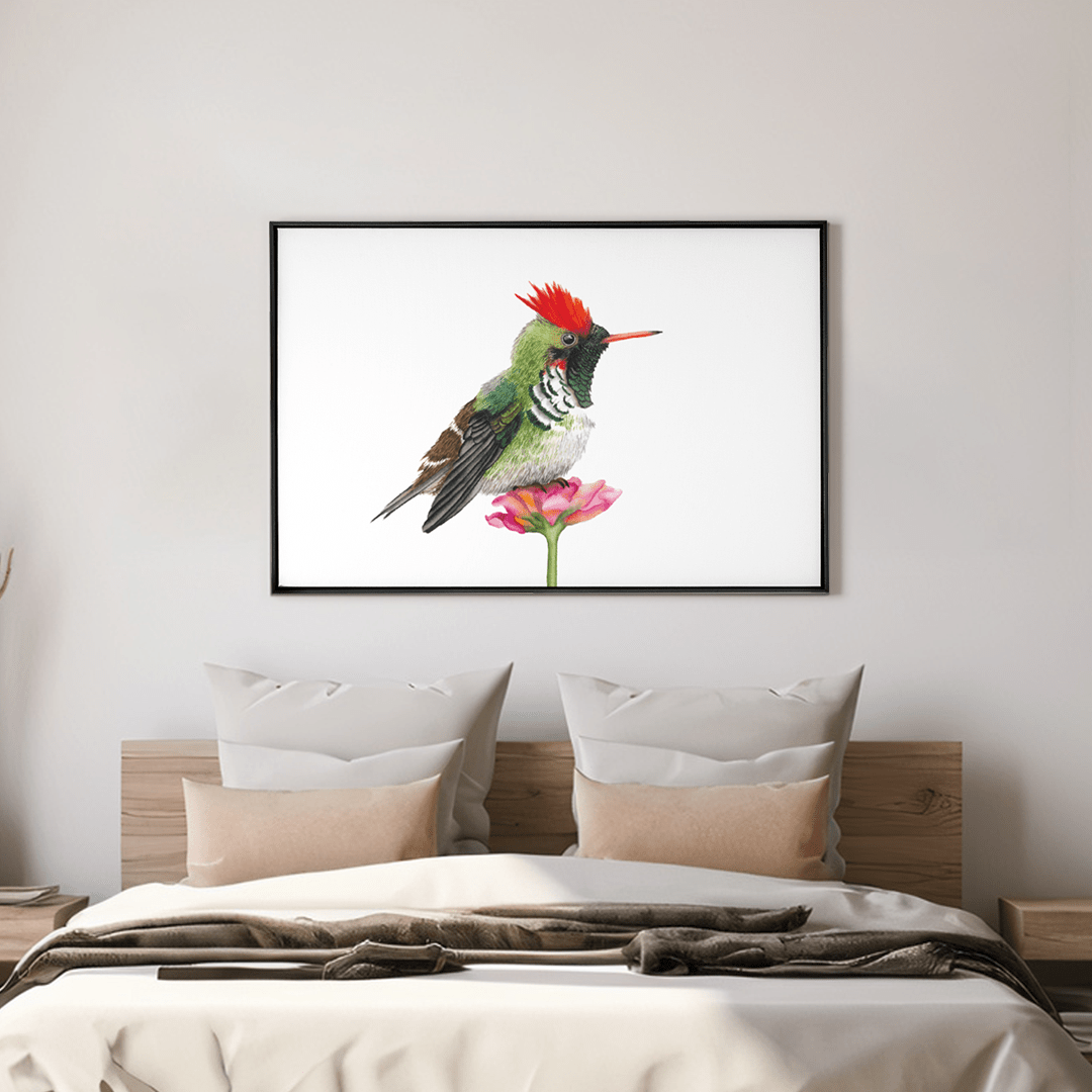 Quadro Decorativo Pássaro Beija - Flor | Aline Gomes - Meu Rodapé