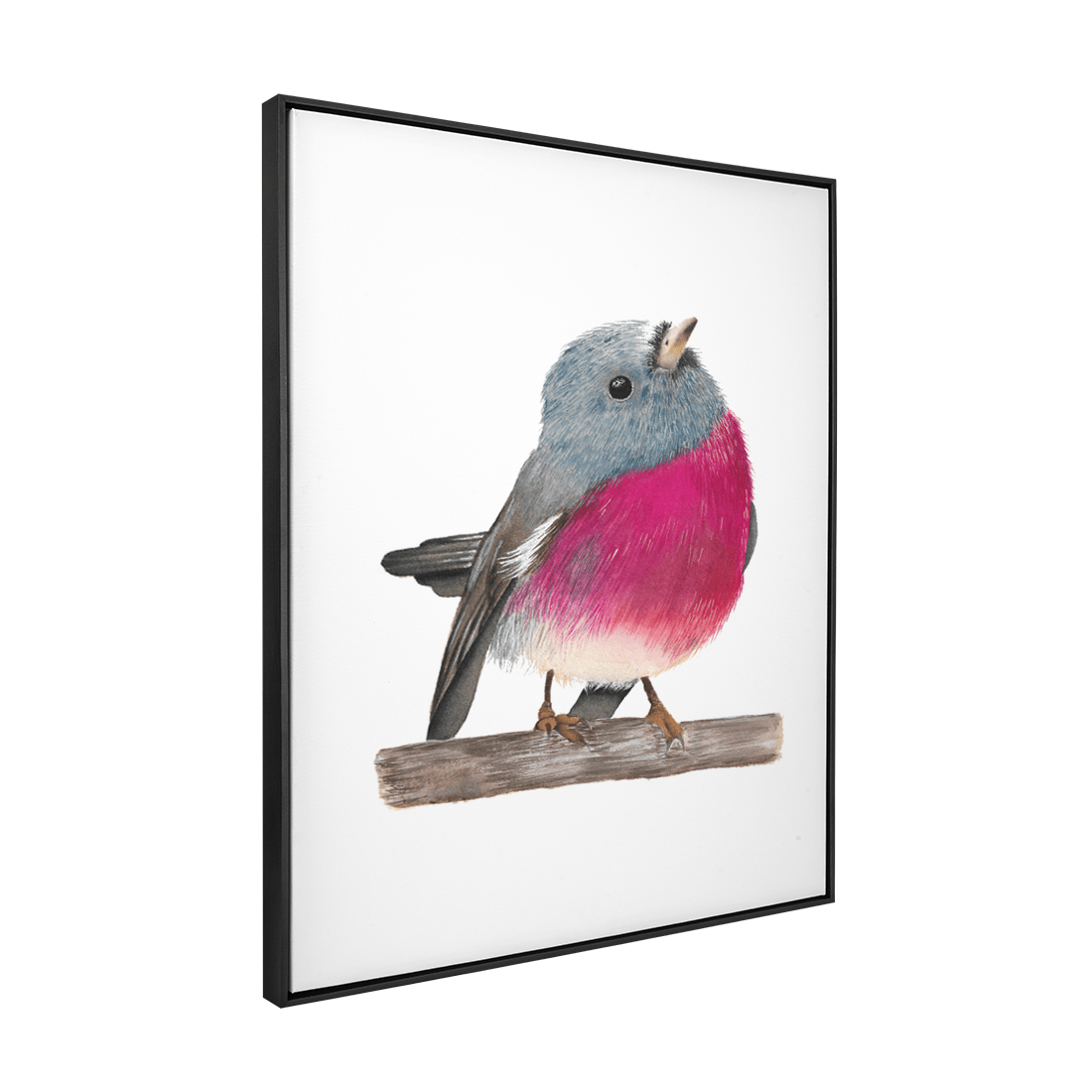 Quadro Decorativo Pássaro Pink Robin | Aline Gomes - Meu Rodapé