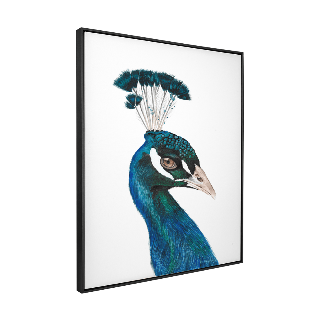 Quadro Decorativo Pavão | Aline Gomes - Meu Rodapé