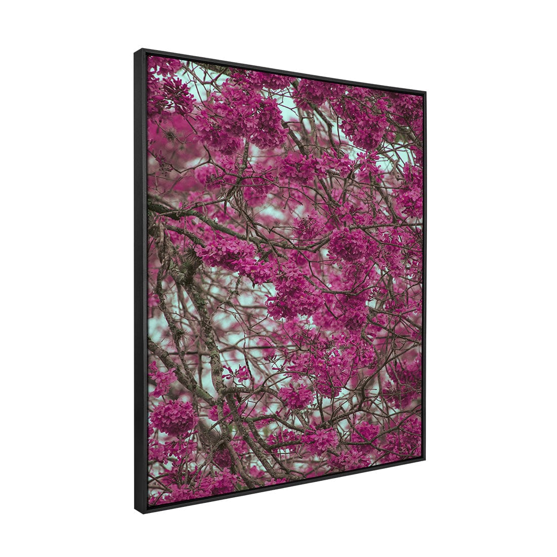 Quadro Decorativo Primavera | Albori Ribeiro - Meu Rodapé