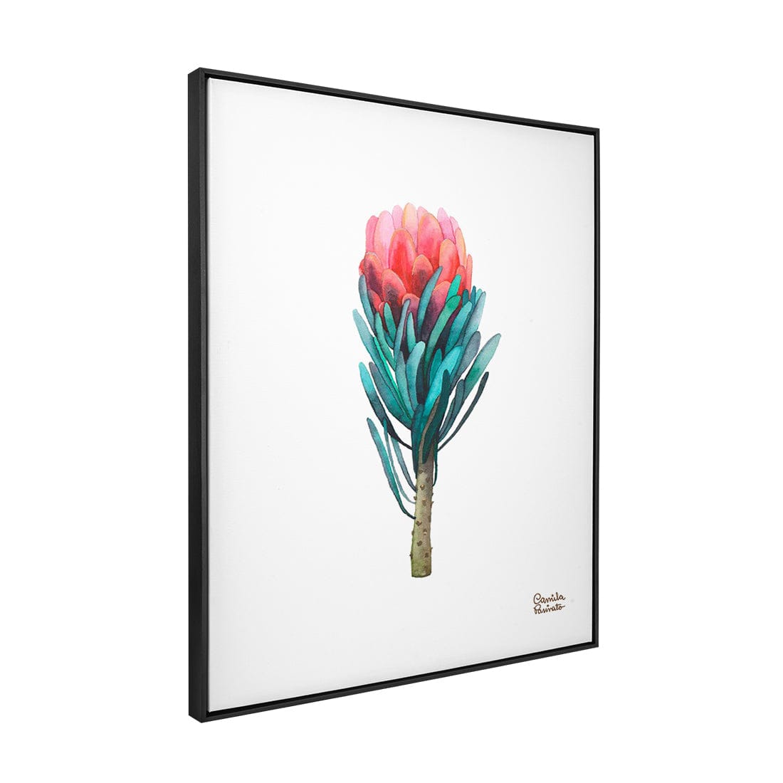 Quadro Decorativo Protea | Camila Pasinato - Meu Rodapé