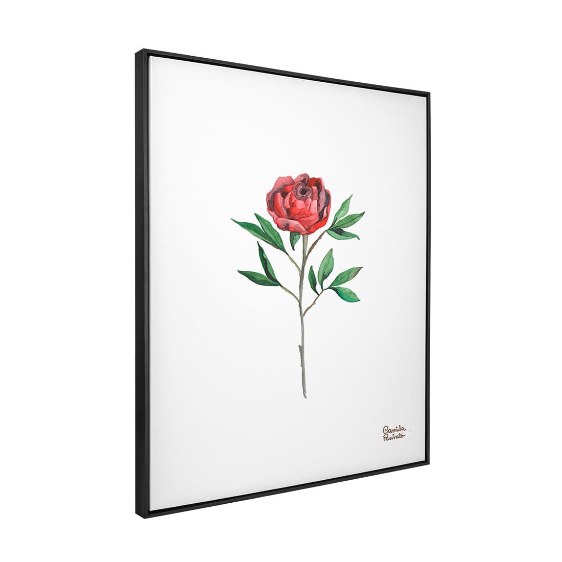 Quadro Decorativo Rosa Vermelha | Camila Pasinato - Meu Rodapé