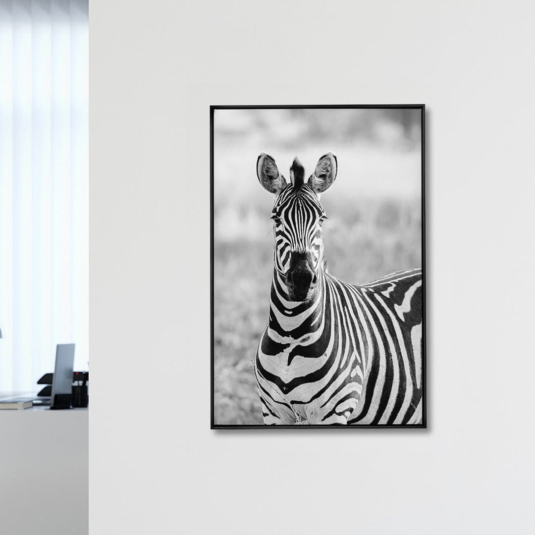 Quadro Decorativo Zebra 1 | Sâmia Munaretti & Marcelo Baldin - Meu Rodapé