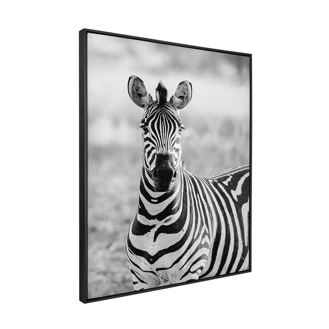 Quadro Decorativo Zebra 1 | Sâmia Munaretti & Marcelo Baldin - Meu Rodapé