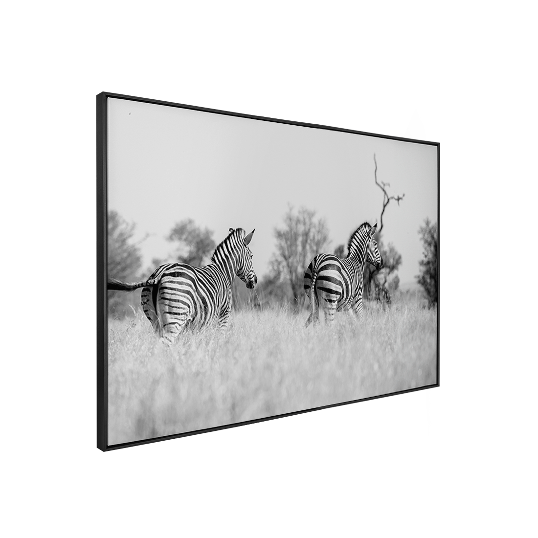 Quadro Decorativo Zebra 3 | Sâmia Munaretti & Marcelo Baldin - Meu Rodapé