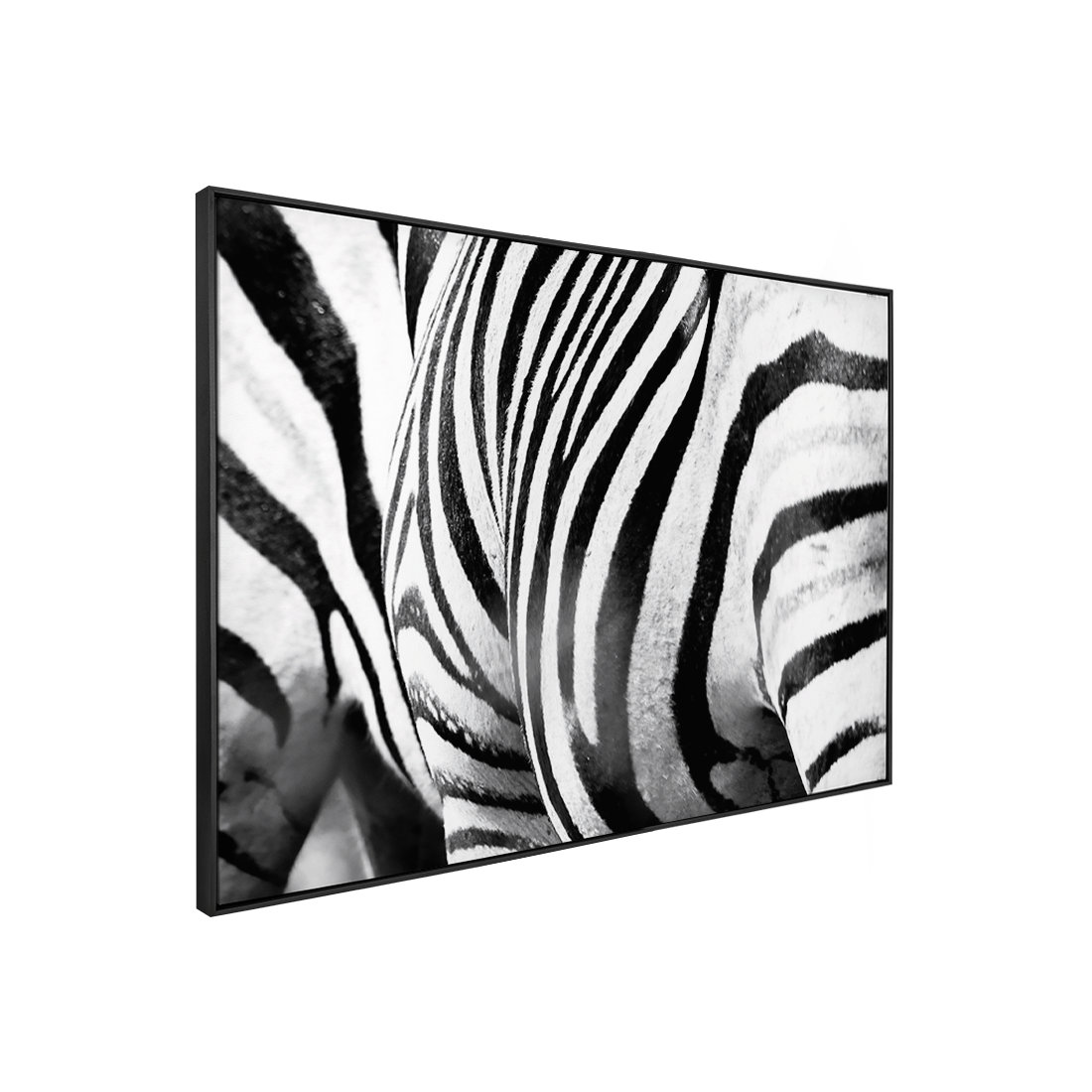 Quadro Decorativo Zebra Listrada | Sâmia Munaretti & Marcelo Baldin - Meu Rodapé