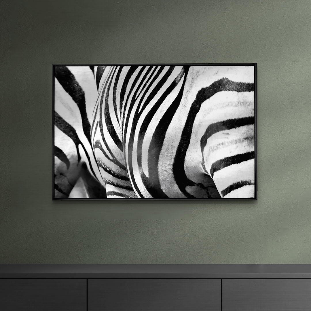 Quadro Decorativo Zebra Listrada | Sâmia Munaretti & Marcelo Baldin - Meu Rodapé